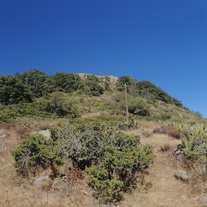 Shamot2014 on the summit of Cerro Pena Alta Poco (14.1.2022 12:48)