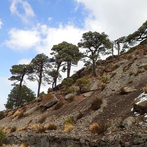 Shamot2014 on the summit of Cofre de Perote (19.1.2022 12:00)