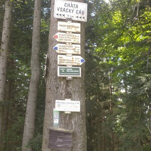 Monika na vrcholu Vsácká Tanečnice - památník (23.6.2024 14:38)