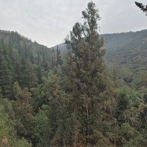 Shamot2014 on the summit of Morro Guayacán (26.6.2018 16:06)