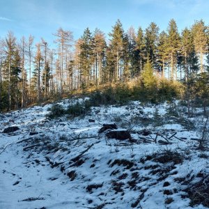 Mykas na vrcholu Gołota (29.12.2024 13:57)