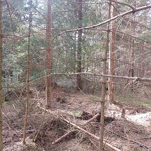 Cyklista 73 na vrcholu Nad Pasekou (22.4.2023 15:41)