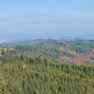 Honza Krňa on the summit of Vartovna (27.10.2024 12:06)