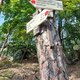 Mykas on peak Martinské stěny Z1 (31.8.2024)