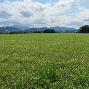 Šárka na vrcholu Rusinec (14.7.2024 14:20)
