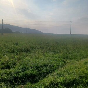 PA!WELL na vrcholu Rusinec (6.9.2024 16:43)