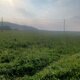 PA!WELL na vrcholu Rusinec (6.9.2024 16:43)