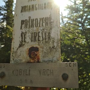 Veronika Burdová on the summit of Kobylí vrch (28.9.2021 14:12)