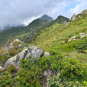 Robert Janda on the summit of Koppen (17.7.2024 14:49)
