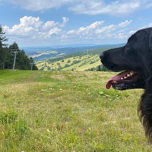 Mo Nika na vrcholu Buková hora (31.7.2021 11:10)