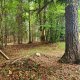 Ila na vrcholu Tokarnia