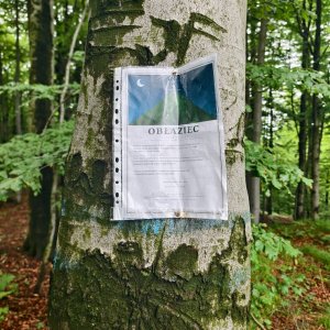 Ila na vrcholu Oblaziec (4.6.2026 11:53)