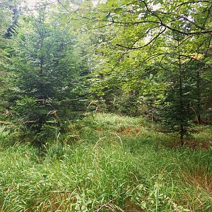 Vladimír Grančay na vrcholu Jelení hora (12.8.2017 12:59)