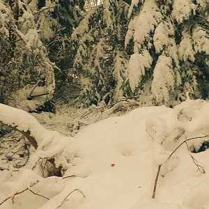 Vladimír Grančay na vrcholu Jelení hora (15.11.2016 13:15)