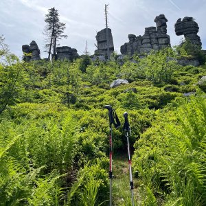 Radka D on the summit of Nashornfelsen (18.6.2025 15:41)