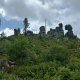 akam na vrcholu Nashornfelsen