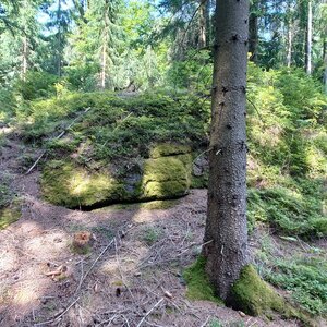 Nojby on the summit of Sonnenberg S (30.7.2024 14:09)