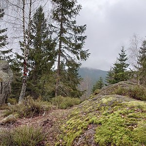Nojby na vrcholu Vyhlídka - skalní útvar (15.4.2022 11:26)