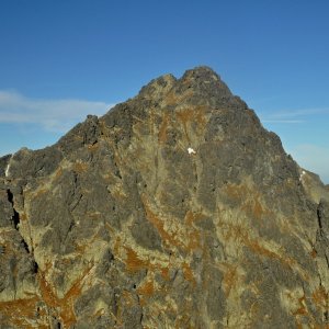 ThrasherVojti on the summit of Malá Bašta (1.11.2022 11:21)