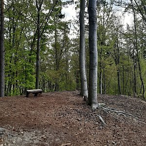 ZdenkaV on the summit of Lipůvka (2.5.2022 12:41)
