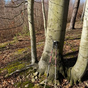 Radka D on the summit of Lipůvka (1.2.2025 10:25)