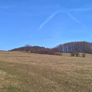 Horalka Anička na vrcholu Soliska (27.3.2022)