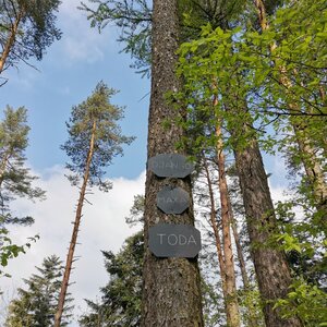 Šárka na vrcholu Soliska (11.4.2024 9:31)