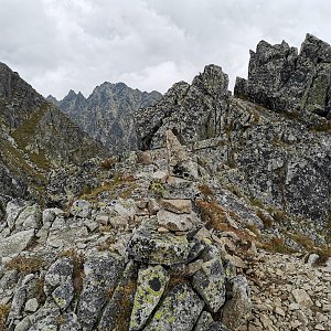 Šárka na vrcholu Soliskový hrb (15.8.2022 12:45)