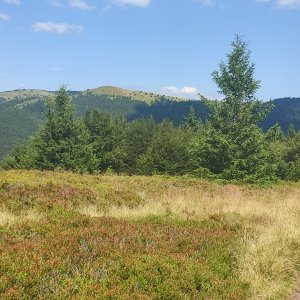 Miroslav Příhonský on the summit of Horná lúka SV (29.7.2026 14:14)