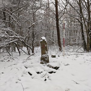 michalzhor on the summit of Býčí hora (15.2.2026 10:46)