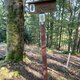 Nojby na vrcholu Kühberg