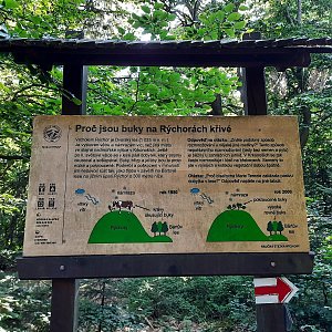 Tomáš Kupsa na vrcholu Dvorský les (12.8.2022 17:00)