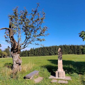 Martina na vrcholu Dvorský les (16.9.2023 11:29)