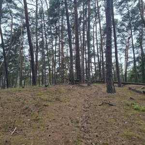 Cyklista 73 on the summit of Schachtstein (9.9.2026 15:13)