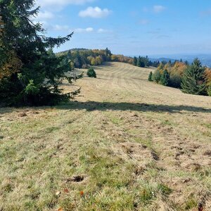 Mykas na vrcholu Stodoliská Z (12.10.2024 11:47)