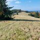 Mykas na vrcholu Stodoliská Z