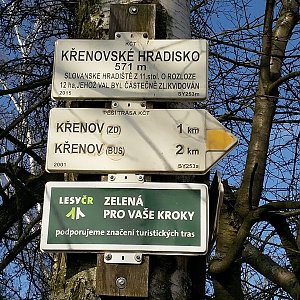 Anna na vrcholu Křenovské hradisko (8.2.2020 12:19)