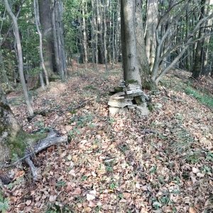 Zdena Trommler na vrcholu Červený kámen Z4 (9.10.2026 16:55)