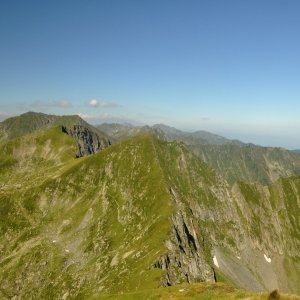 ThrasherVojti on the summit of Gălășescu Mare (4.8.2023 10:44)