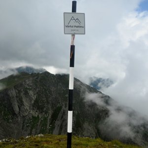 ThrasherVojti on the summit of Paltinului (2.8.2023 13:08)