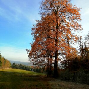Tor on the summit of Triangl (20.10.2024 16:15)