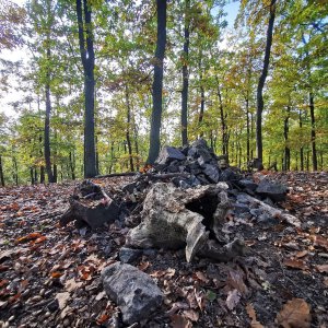 Jiří Králík na vrcholu Baba (24.10.2024 14:22)