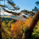 Maruška Tampírová na vrcholu Ponorka