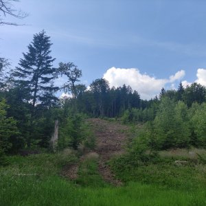 Vratislav Sejkora na vrcholu Černá hora (18.6.2025 15:07)