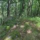 Vratislav Sejkora na vrcholu Černá hora (18.6.2025)