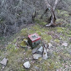 VěrkaN na vrcholu Drkolná (9.3.2024 17:41)