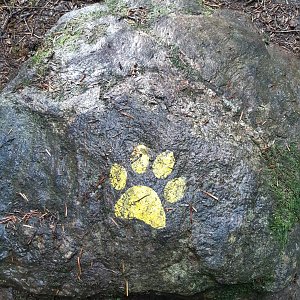 Hancula na vrcholu Sedlo (28.8.2021 15:59)