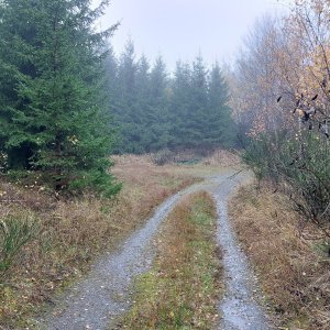 Mykas na vrcholu Boudovka (9.11.2025 14:37)