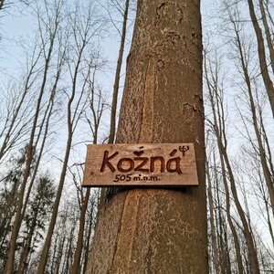 Šárka na vrcholu Kožná J2 (31.12.2023 8:10)