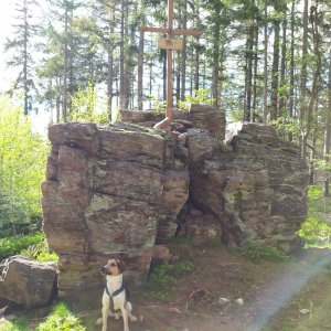 Figgo on the summit of Borek (14.5.2021 16:10)